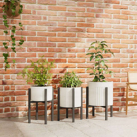 Linpla mid-century style plant stand offers a stable, stylish presentation