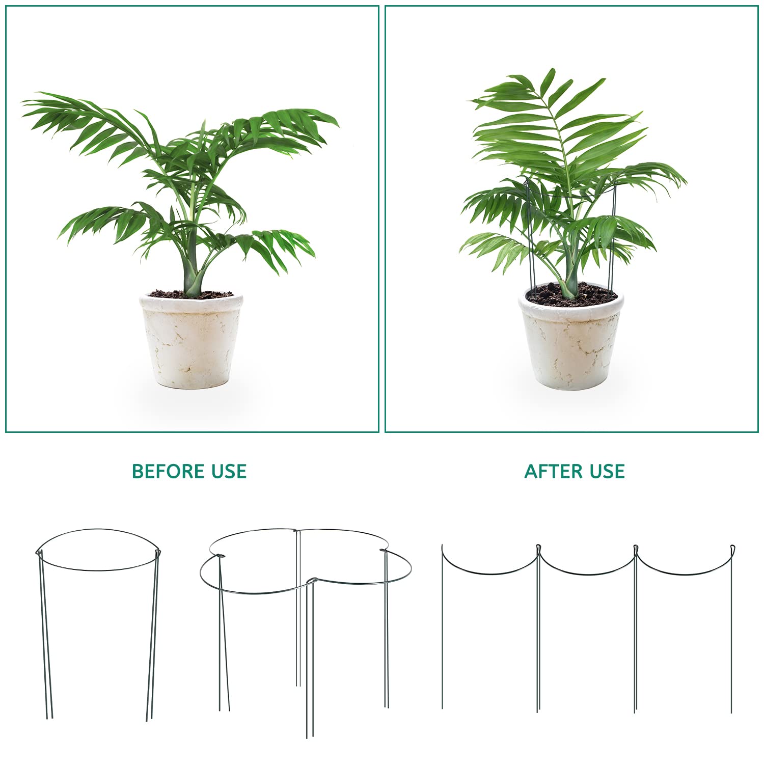 Linyona garden stake installed in soil showing upright plant support.