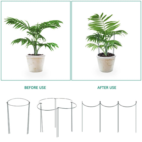 Linyona garden stake installed in soil showing upright plant support.