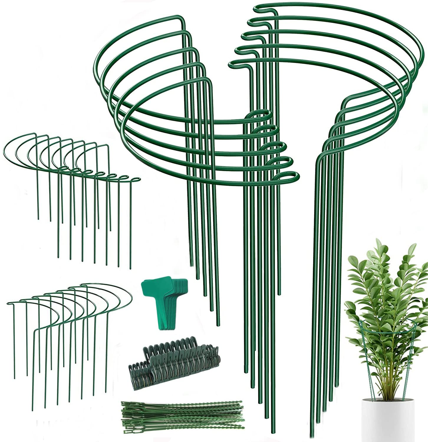 Linyona plant support stake half-round in bright green blends with foliage.