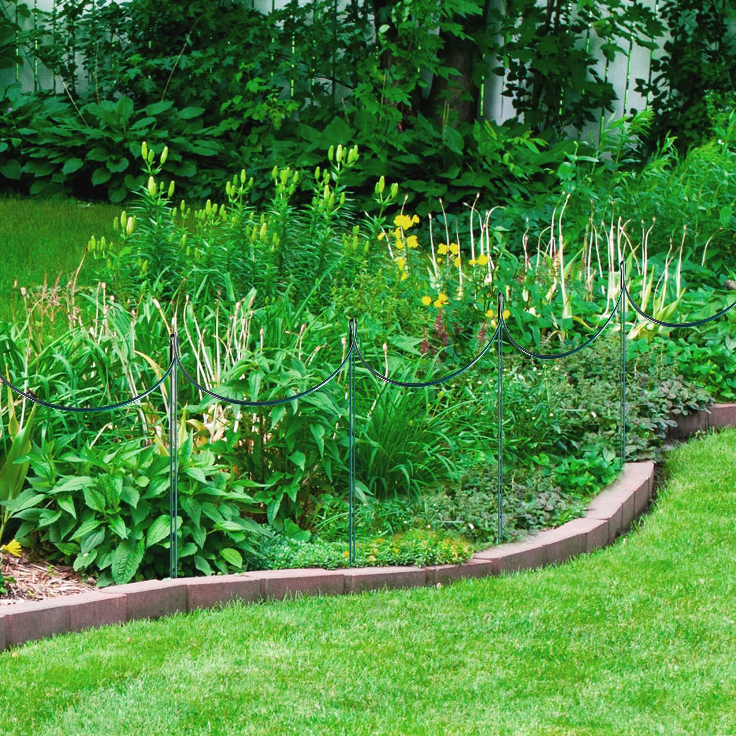 Linyona wide-application stakes supporting roses and tomatoes for upright growth.