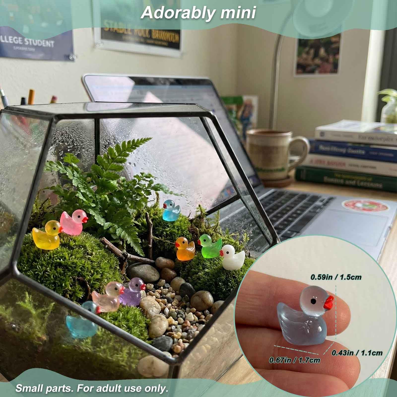 LionWell glow-in-the-dark ducks brighten aquariums and potted plants.