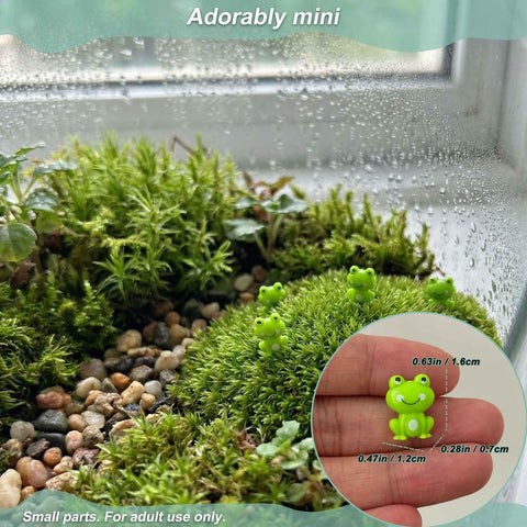 LionWell mini green frog figurines glistening on succulent pot edges