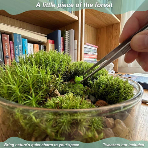 LionWell mini green frog figurines beside a mossy bonsai pot