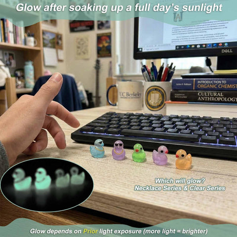 LionWell ducks suit aquariums and outdoor mini landscapes.