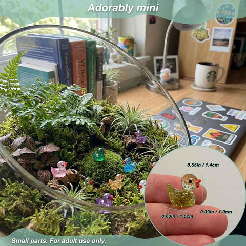 LionWell mini resin ducks sparkle, ideal for micro-landscapes, shelves, and desks.