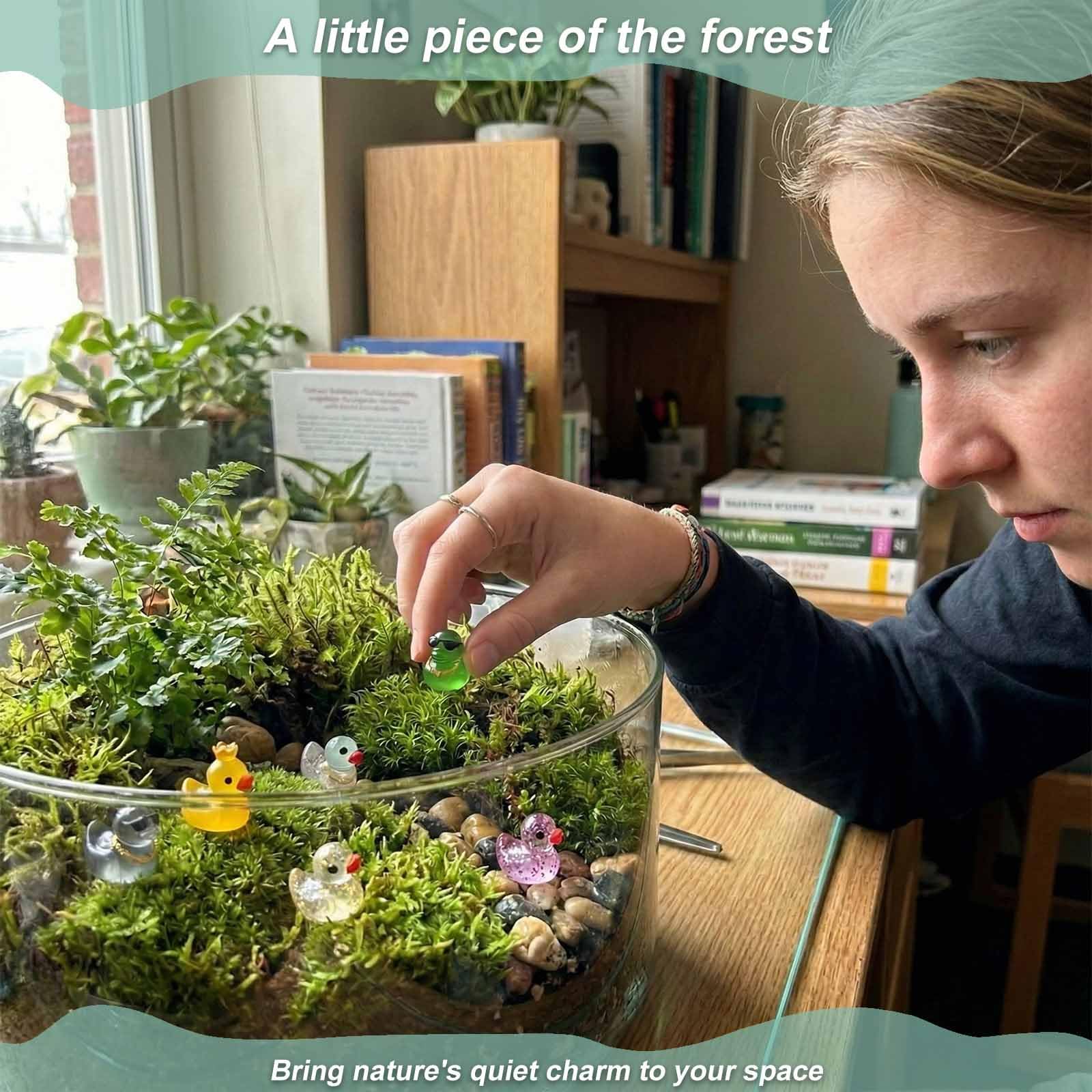LionWell tiny ducks decorate moss gardens and plant shelves.
