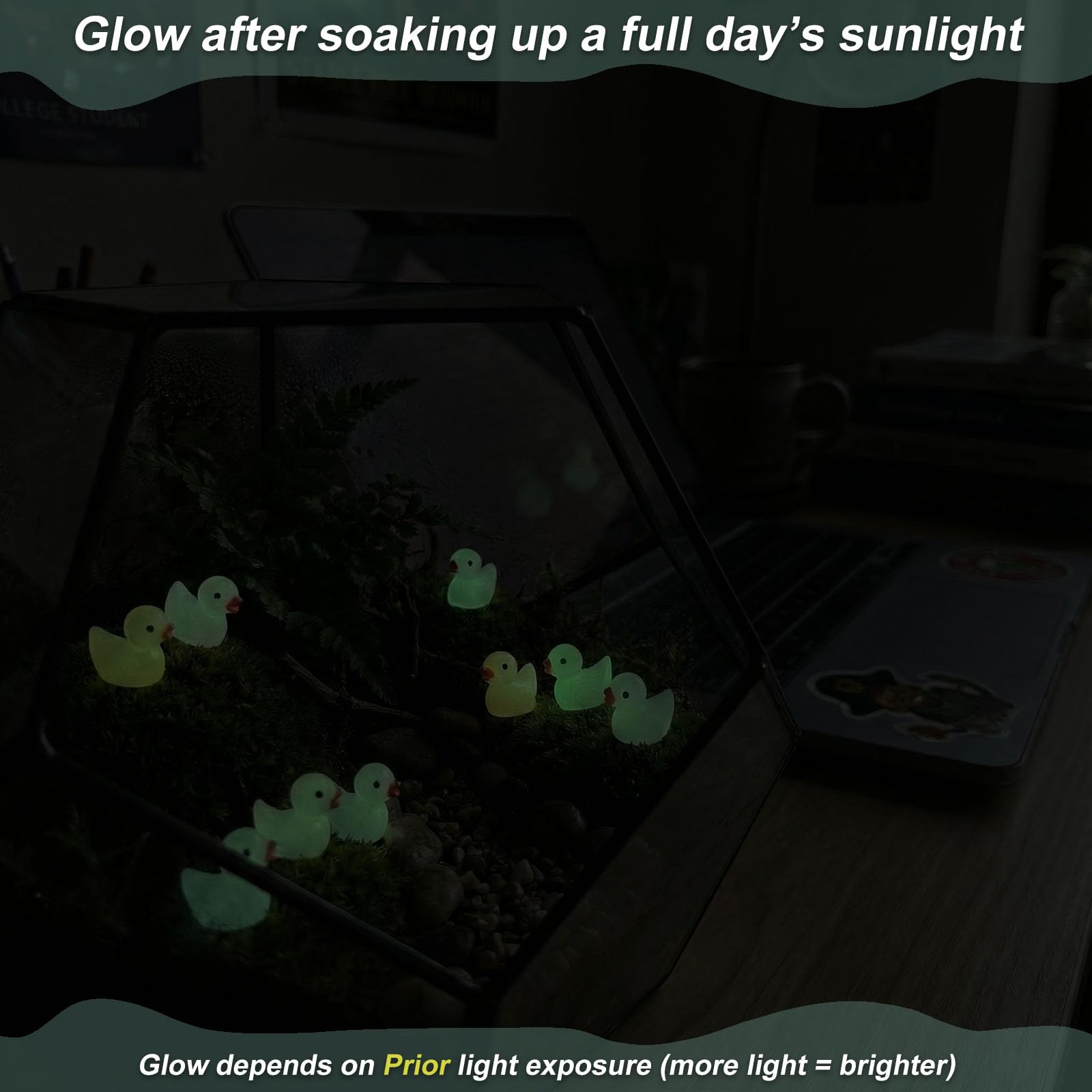 LionWell moss terrarium ducks enhance micro landscapes with charm.