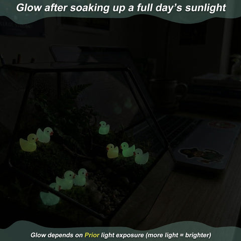LionWell moss terrarium ducks enhance micro landscapes with charm.