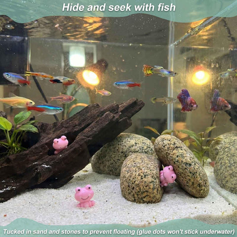 LionWell pink frog on glass display for charm