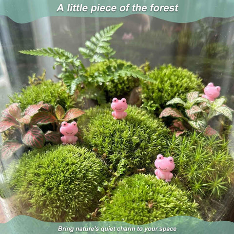 LionWell pink frog pack for DIY crafts and displays