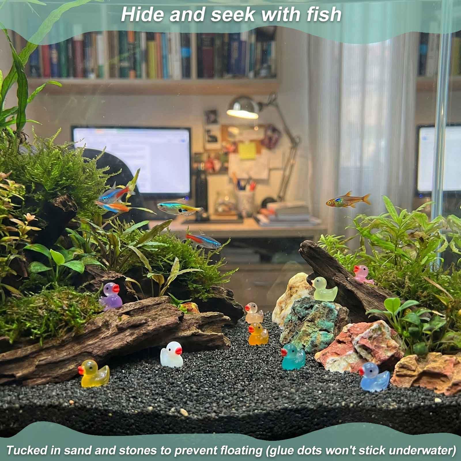 LionWell waterproof resin ducks withstand moisture in indoor and outdoor setups.