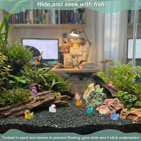 LionWell waterproof resin ducks withstand moisture in indoor and outdoor setups.