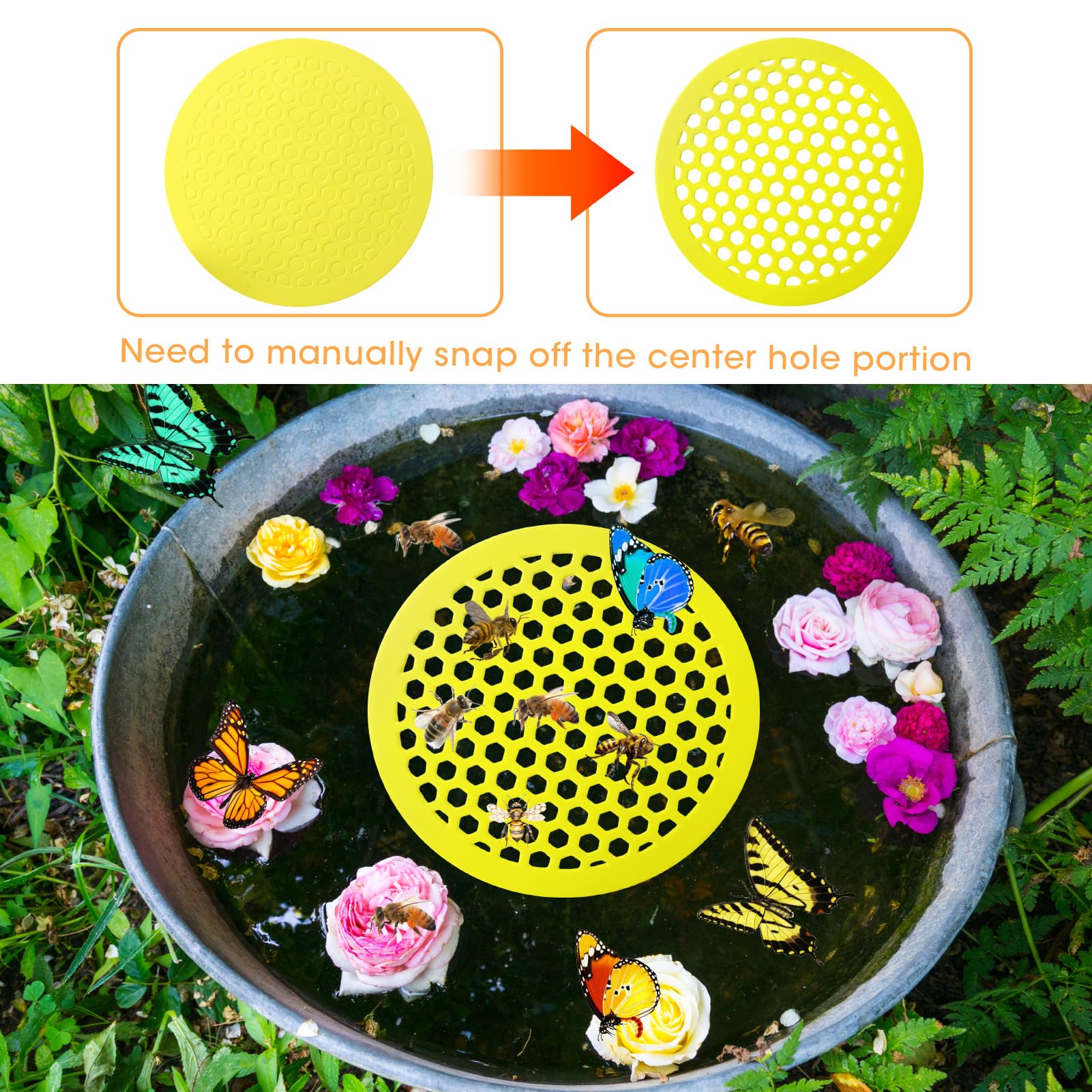 Liqqlex Safe garden watering platform helping pollinators access water safely.