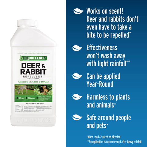 Liquid Fence repellent spray on shrubs deters pest visits during the season
