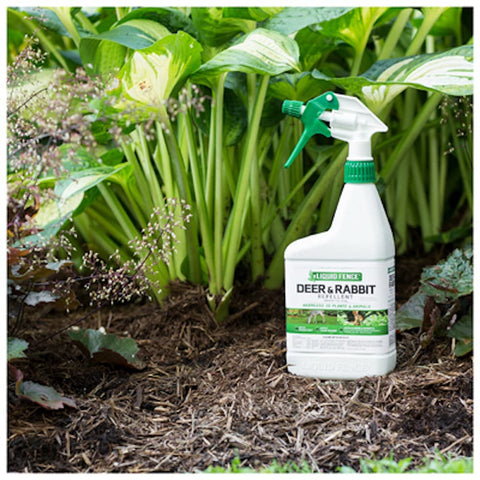 Liquid Fence outdoors setting demonstrates an invisible pest barrier.