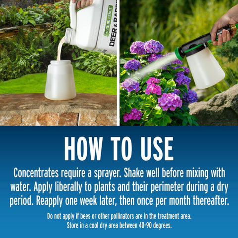 Liquid Fence repellent remains rain-resistant, providing longer protection for garden plants.