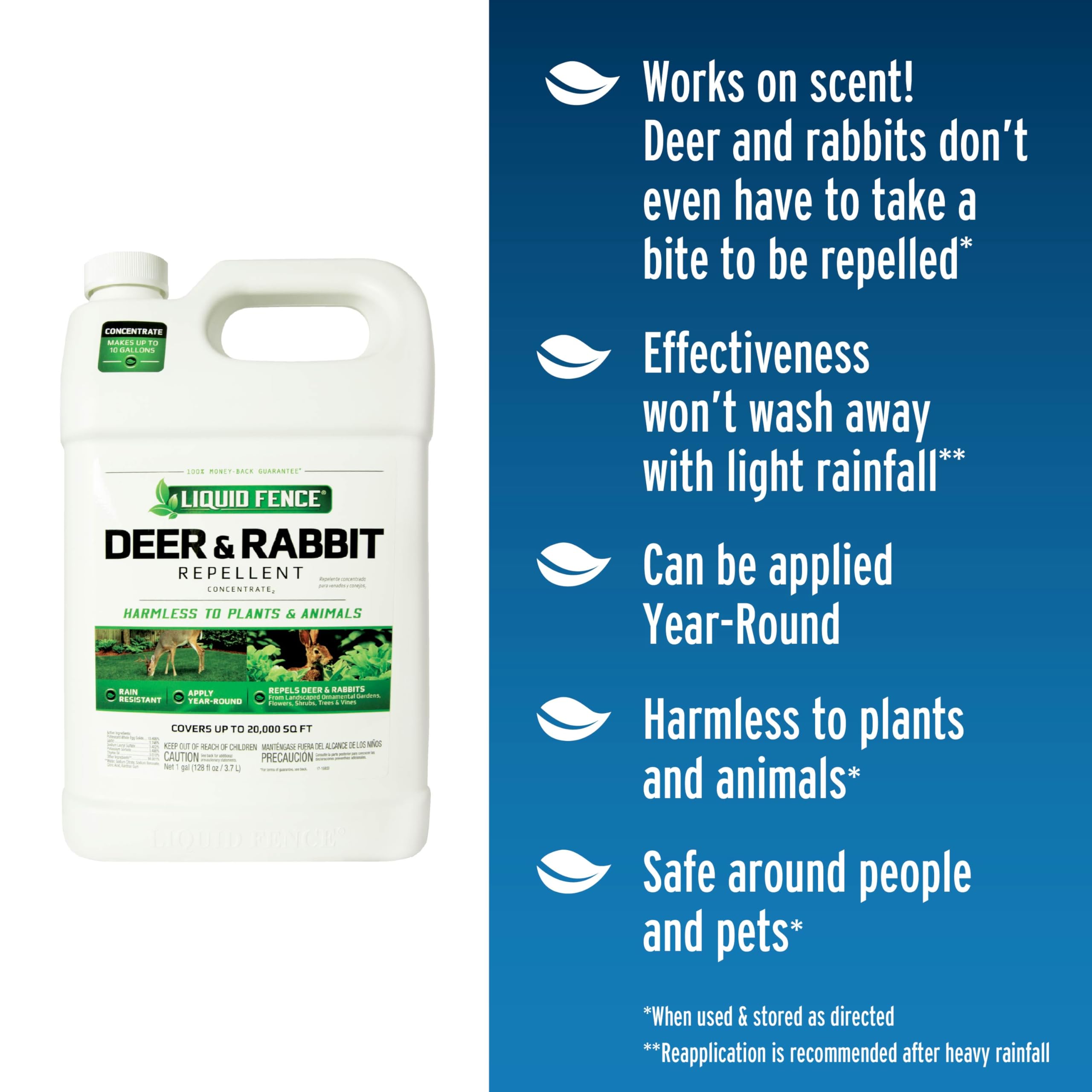 Liquid Fence Deer & Rabbit Repellent being sprayed on plants to deter deer and rabbits.