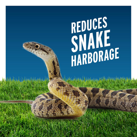 Liquid Fence perimeter application around patio to help reduce snake activity.