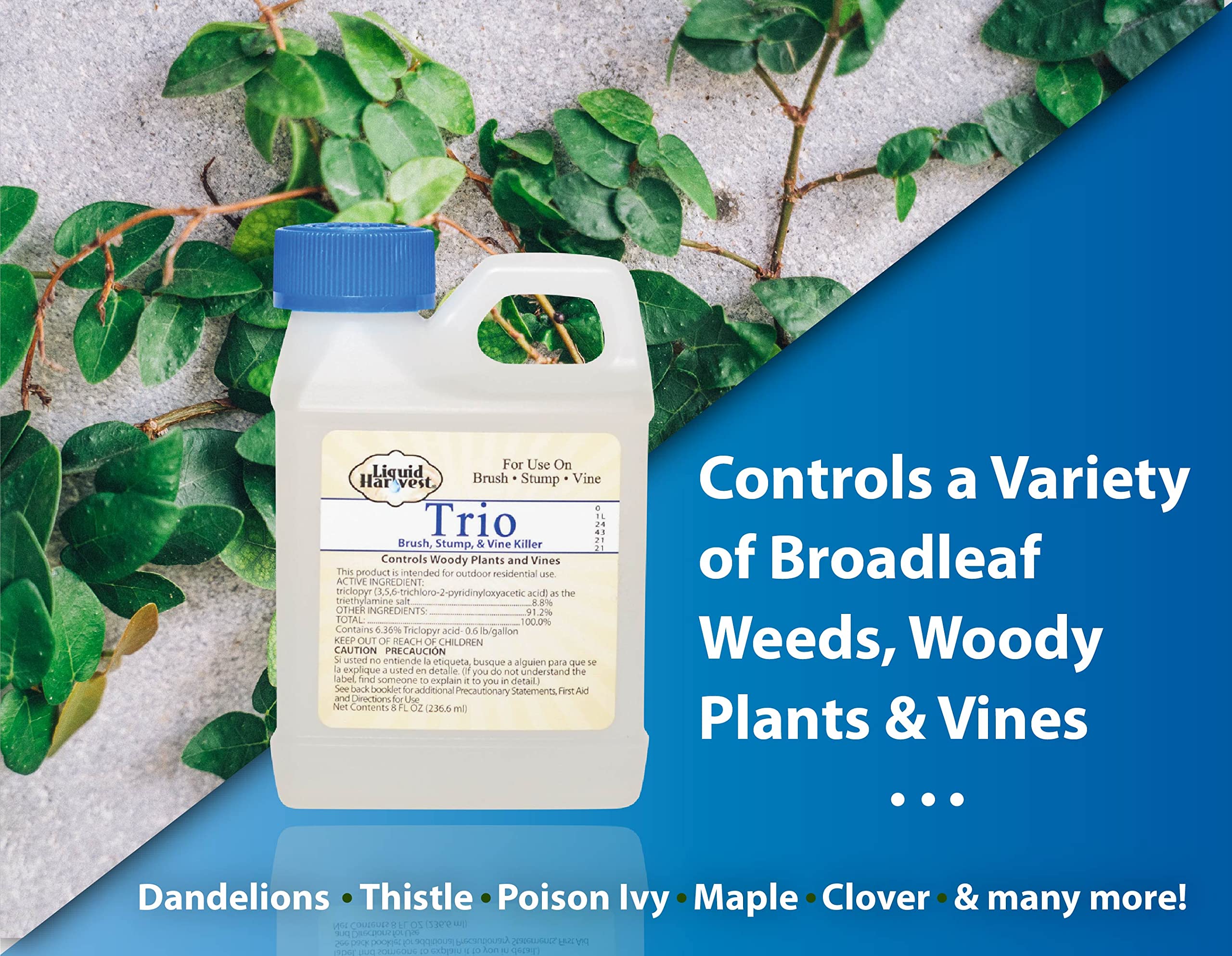 Liquid Harvest brush killer stump treatment with undiluted application on stump