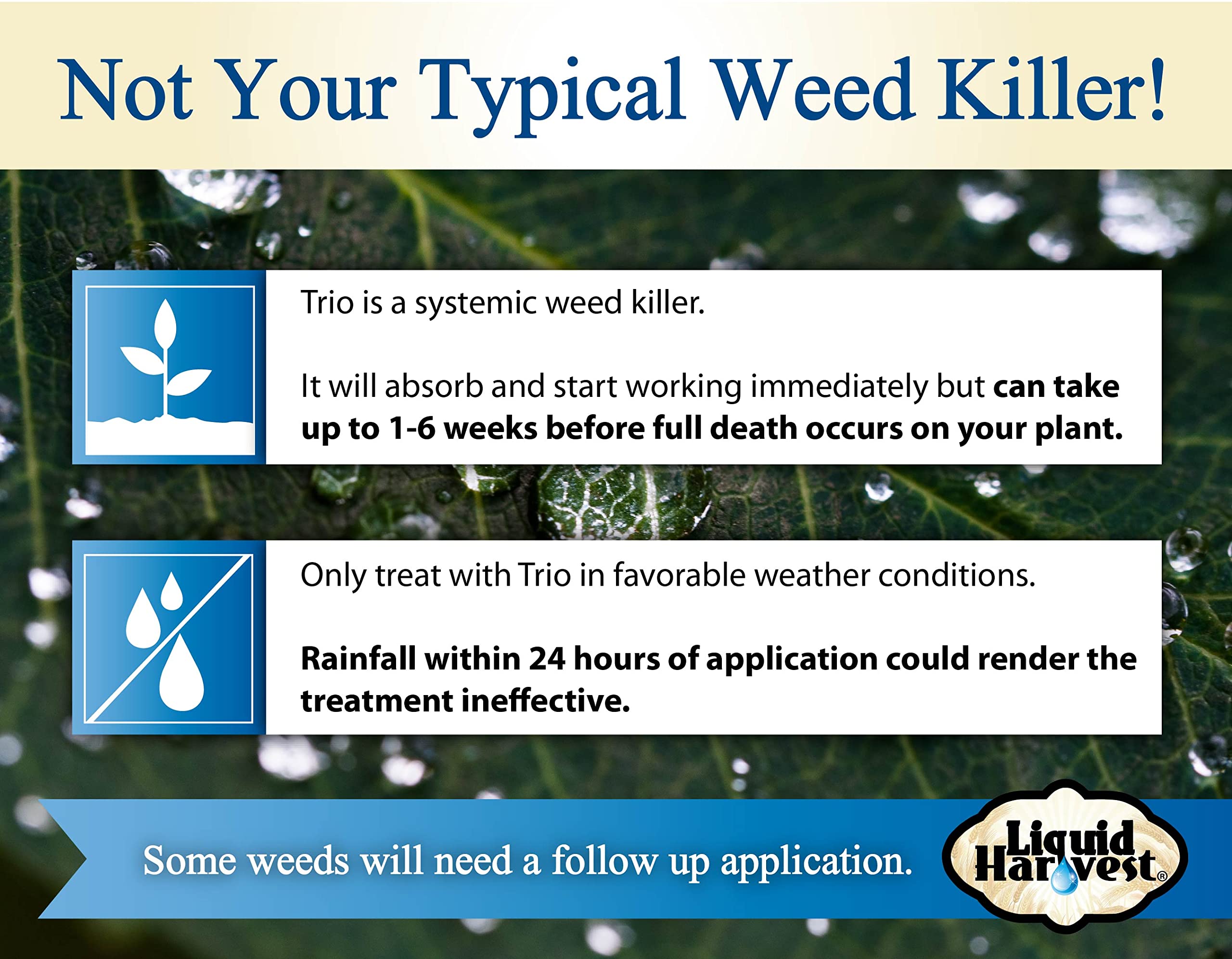 Liquid Harvest Concentrated Brush Killer vine control application on vines