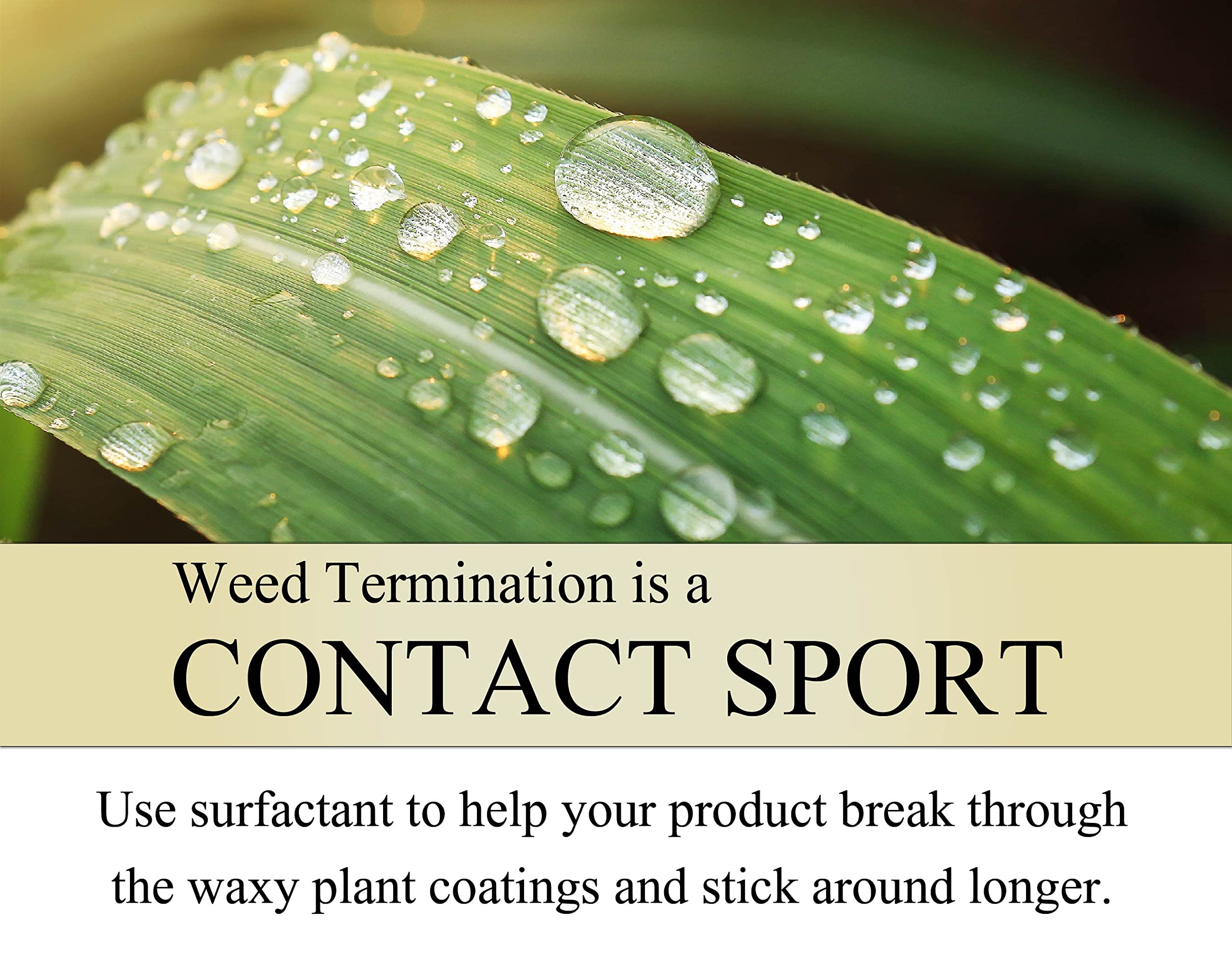 Bundle packaging showing 8 oz concentrate and surfactant included.