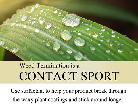 Bundle packaging showing 8 oz concentrate and surfactant included.