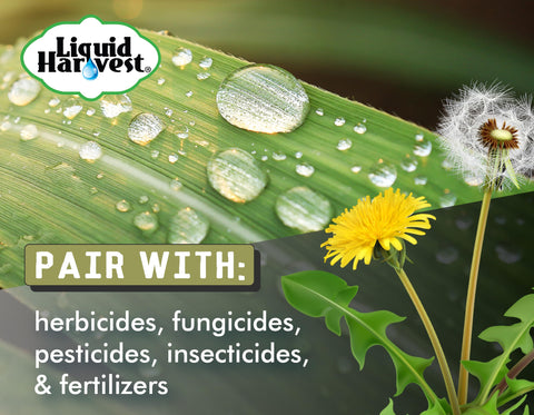 Liquid Harvest on leaf surface demonstrating improved coverage and uniform wetting