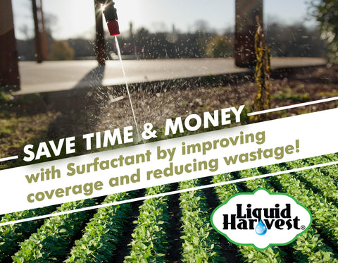 Liquid Harvest Concentrated Surfactant leaf-coverage close-up shows improved spread on foliage