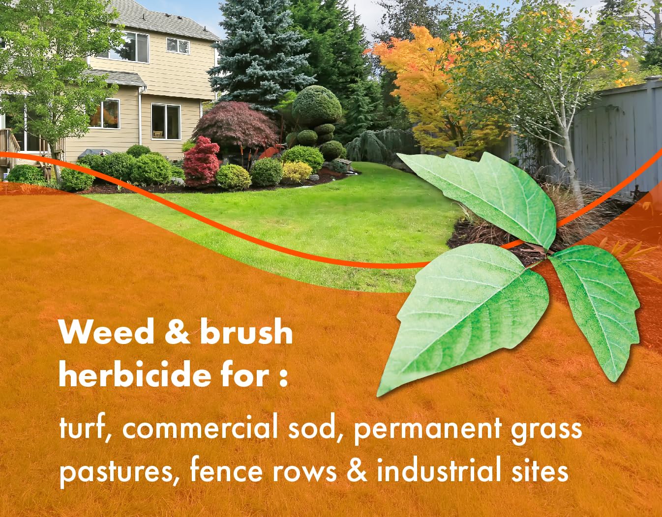 Dual-active formula with triclopyr and 2,4-D supports versatile seasonal use