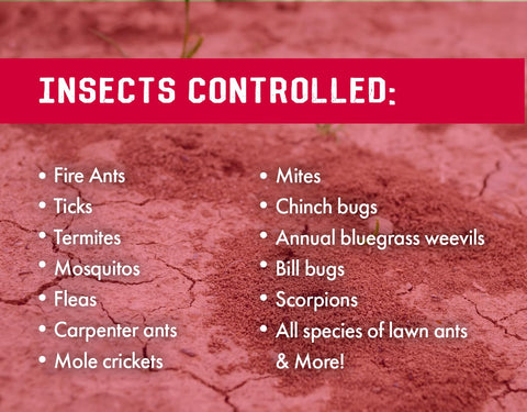 Liquid Harvest interior baseboards treated for effective in-home pest management.