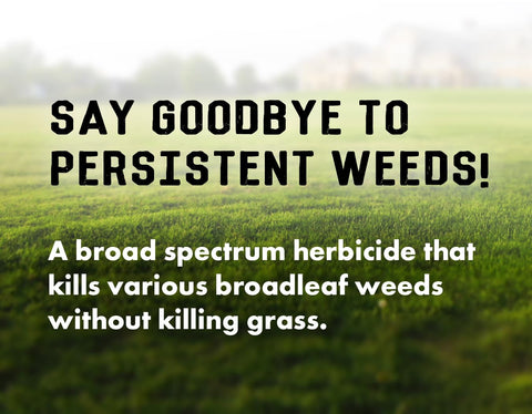 Liquid Harvest measuring cup shows precise dilution for safe, even lawn treatment