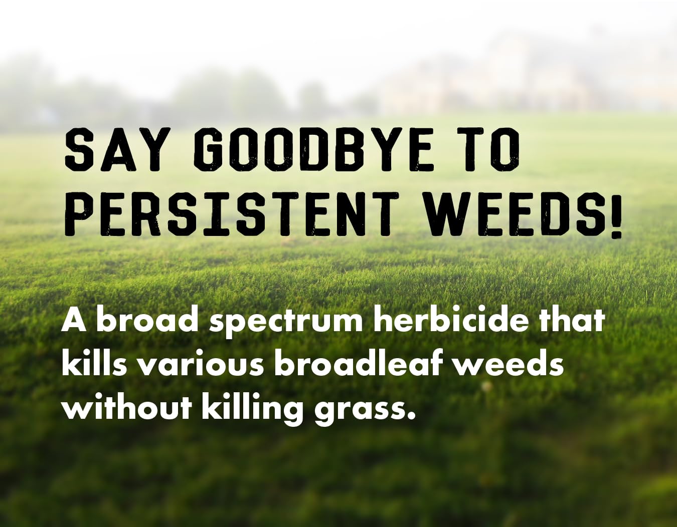 Liquid Harvest Lawn Weed Killer spray-action ensures even turf coverage.