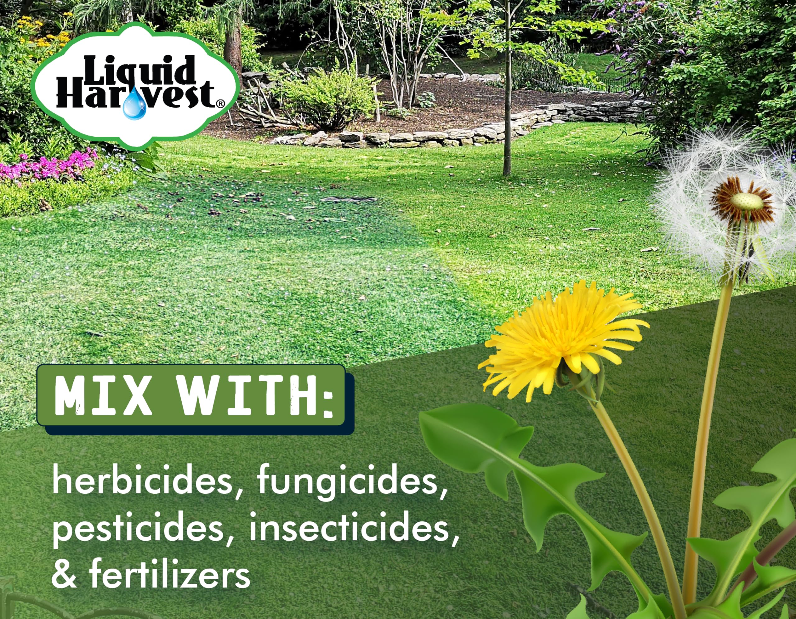 Liquid Harvest Lazer Green spray indicator showing coverage on lawns