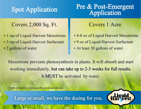 Coverage areas of Liquid Harvest Mesotrione on target grasses and weeds.