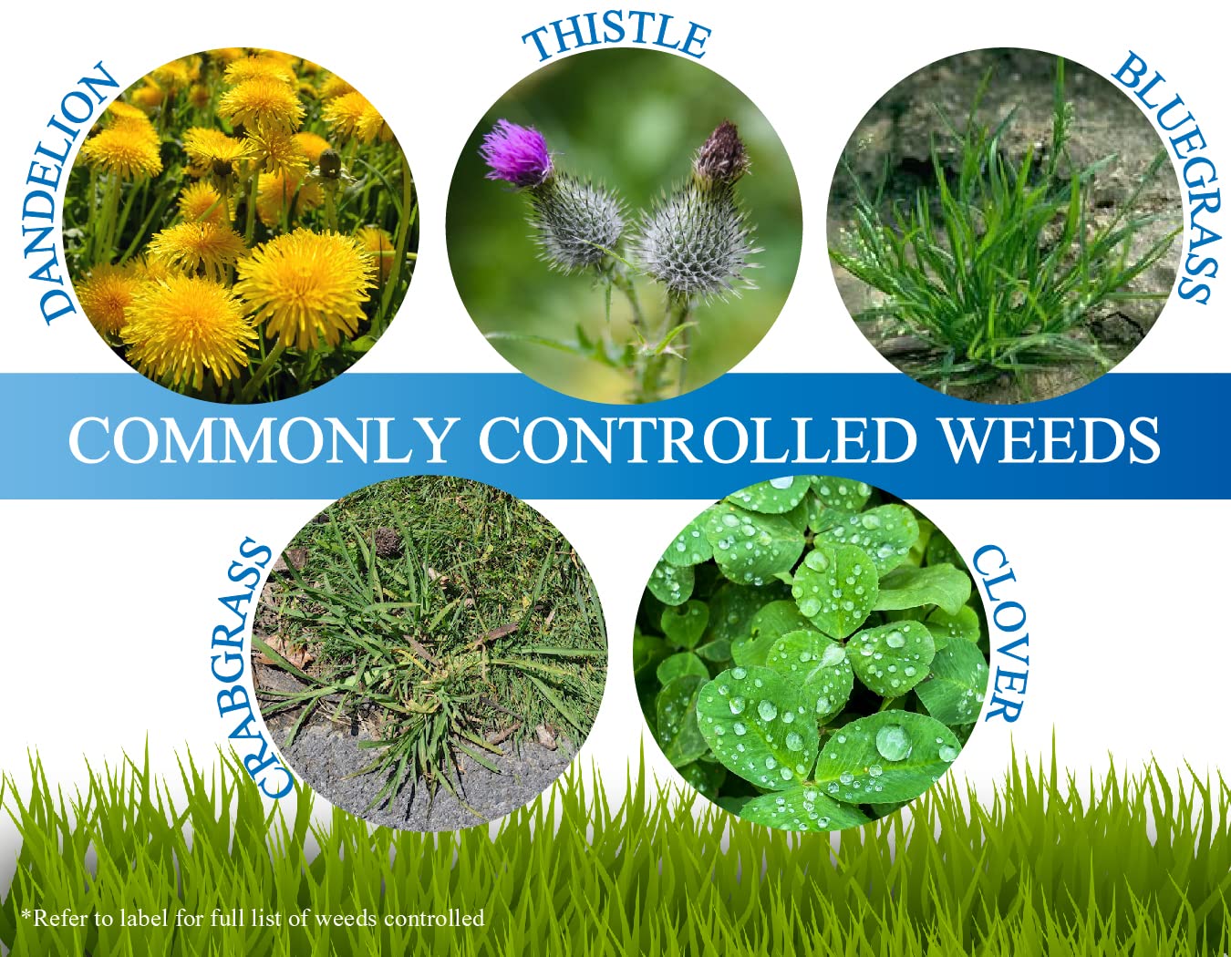 Liquid Harvest Mesotrione instruction label communicates guidelines for correct application.