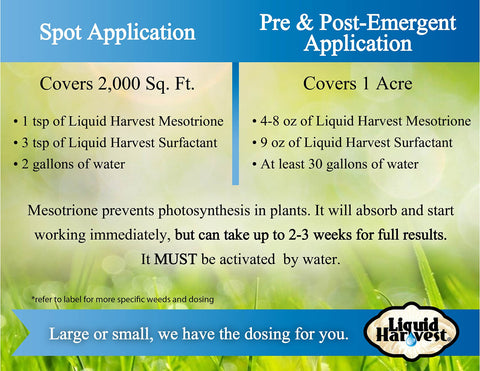 Liquid Harvest Mesotrione packaging display emphasizes product availability for turf care.