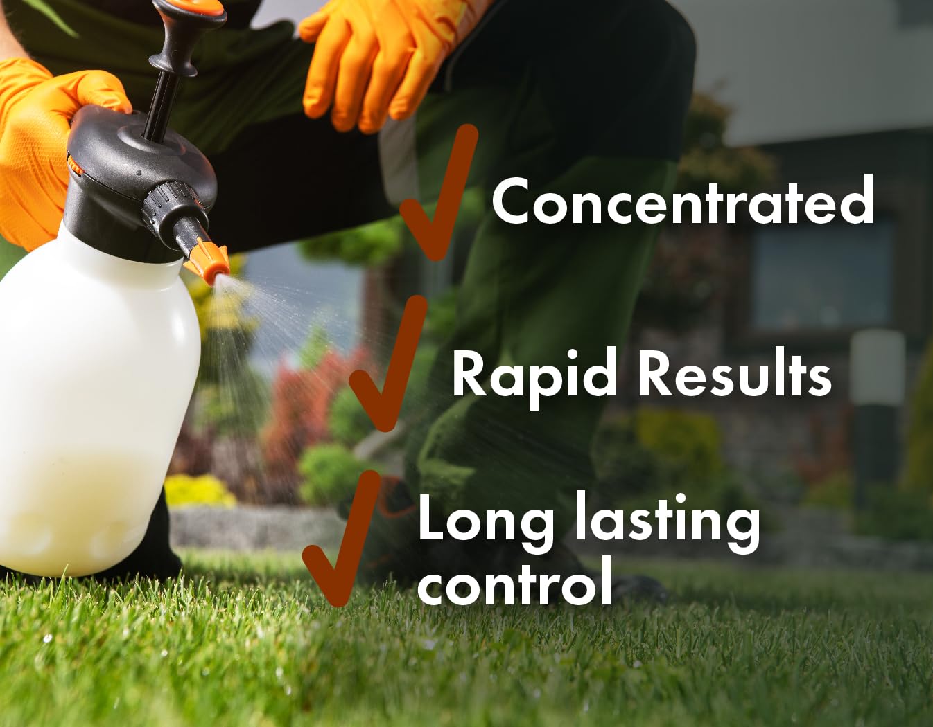 Liquid Harvest Pro Grub Control packaging on a garden center shelf for easy selection.