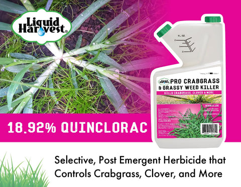 Liquid Harvest Pro quinclorac label showing high-strength formula