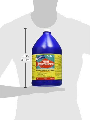 Liquinox fish emulsion used on lawn for lush green turf