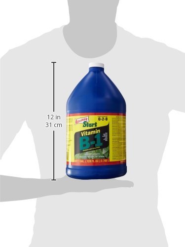 Liquinox Start application during planting may reduce transplant stress.