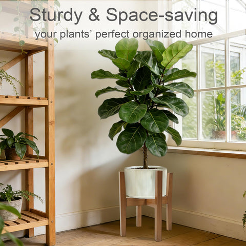 Lissomballon stand fitting 8–12 inch pots for versatile plant displays