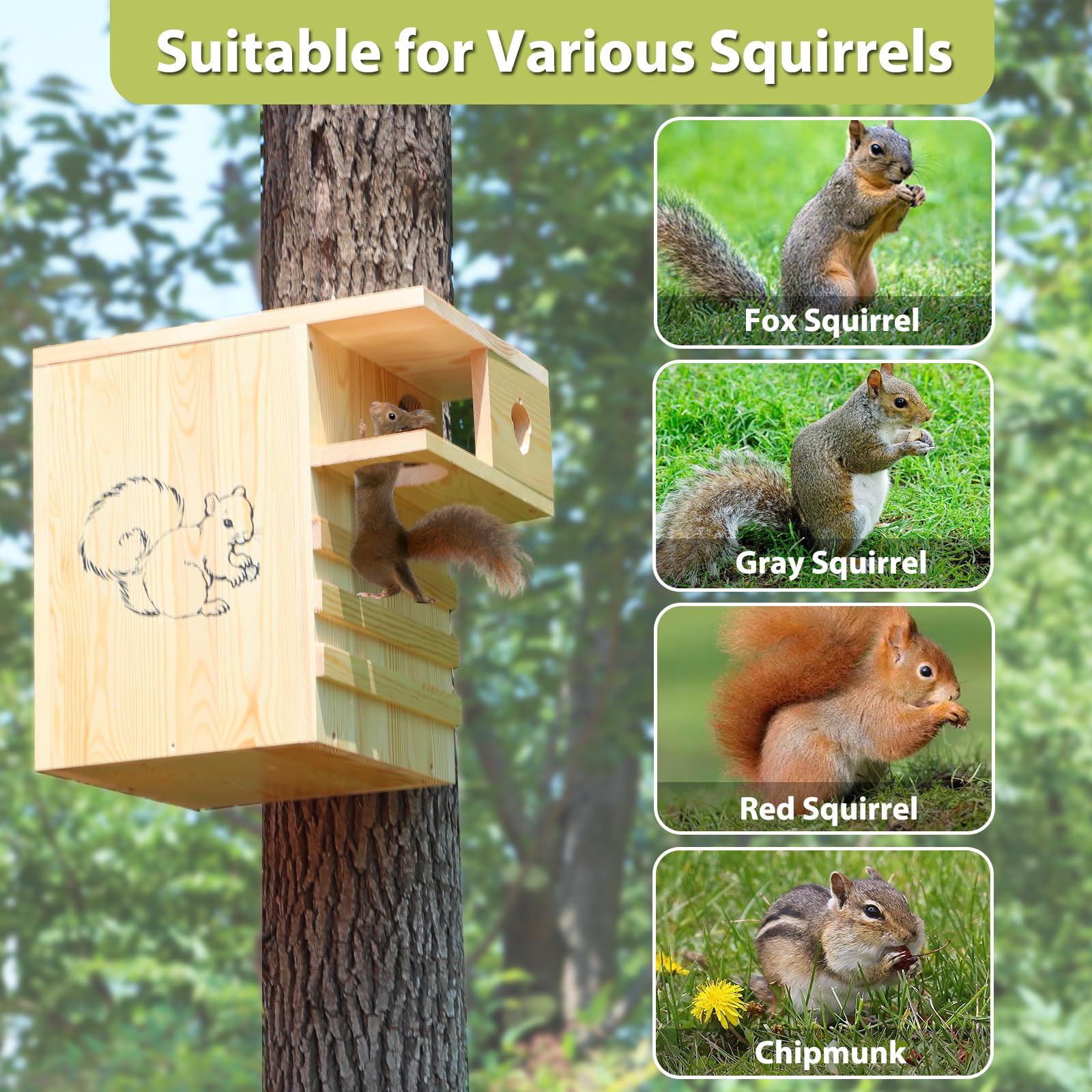 LitaiL outdoor squirrel shelter in natural garden setting for squirrels and chipmunks.