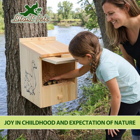 LitaiL Wood Duck House dual-door observation enables relaxed family viewing.