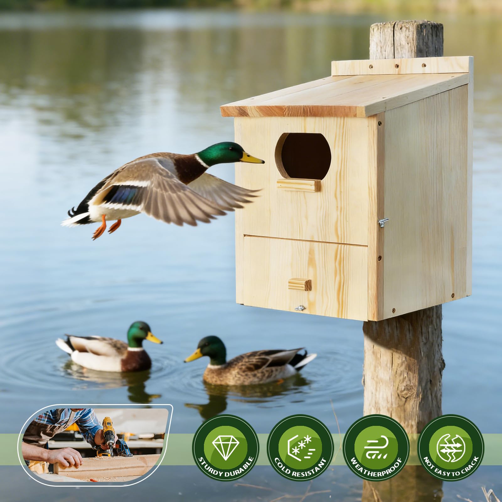 LitaiL Wood Duck House internal climbing ladder supports safe duckling exit.