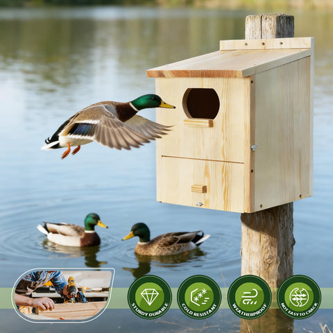 LitaiL Wood Duck House internal climbing ladder supports safe duckling exit.