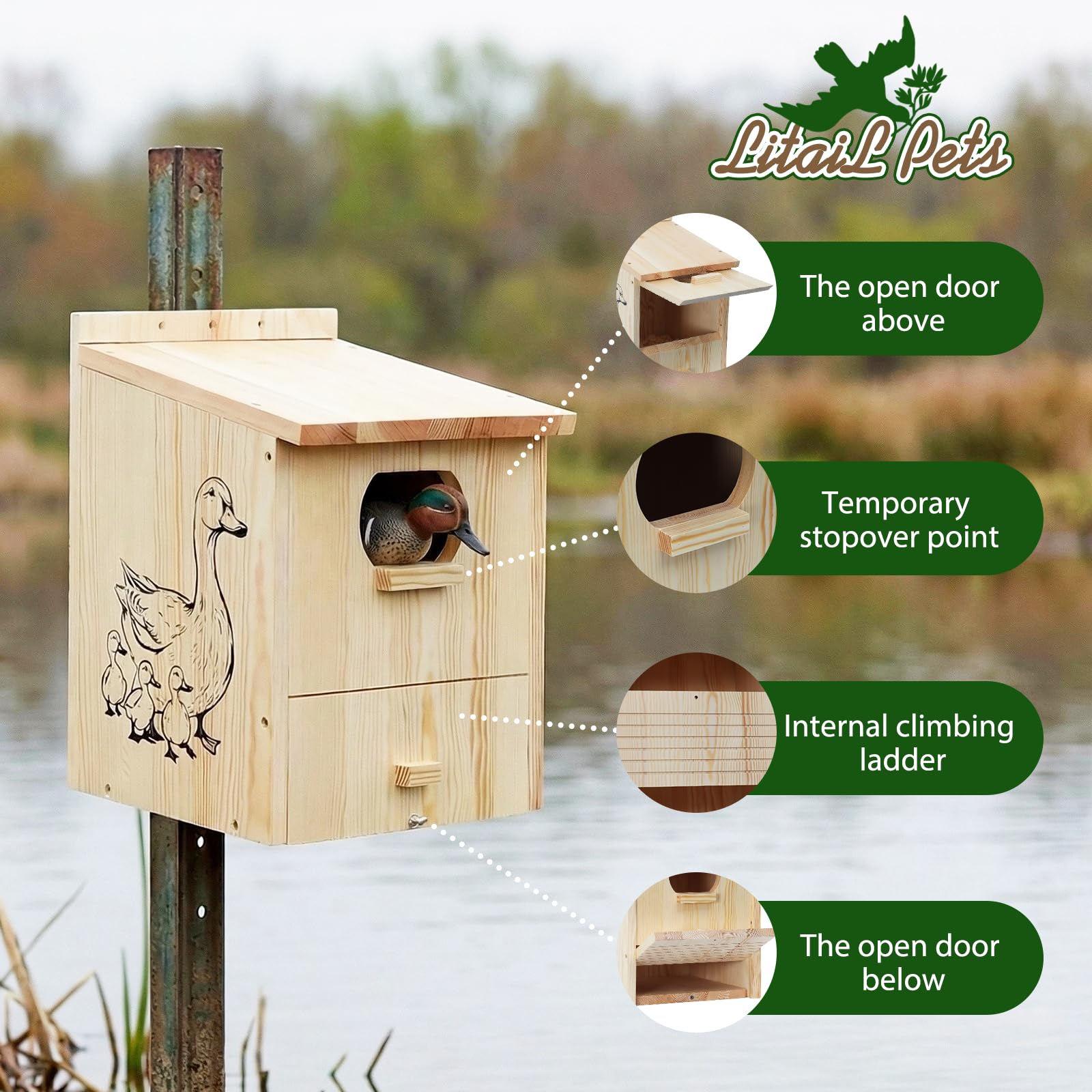 LitaiL Wood Duck House predator guard protects ducks while you observe.
