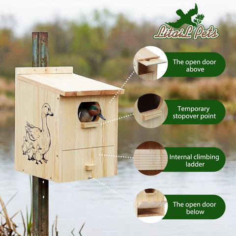 LitaiL Wood Duck House predator guard protects ducks while you observe.