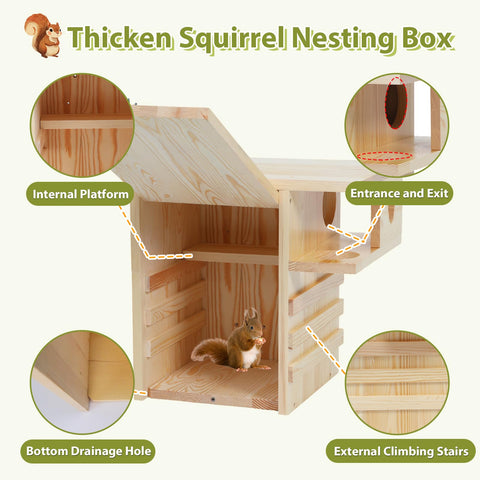 LitaiL wooden box close-up highlights waterproof varnish protecting the wood.