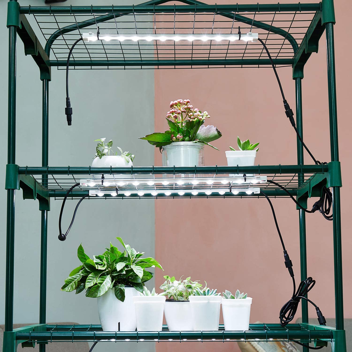 Litever Grow LED strip kit timer showing automatic daily cycles.